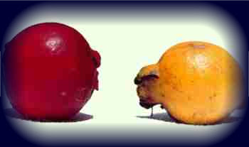 elenco di alimenti dietetici insulino-resistentia elenco di alimenti dietetici insulino-resistentia